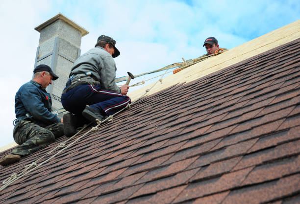 Best Local Roofing Companies  in Hoxie, AR